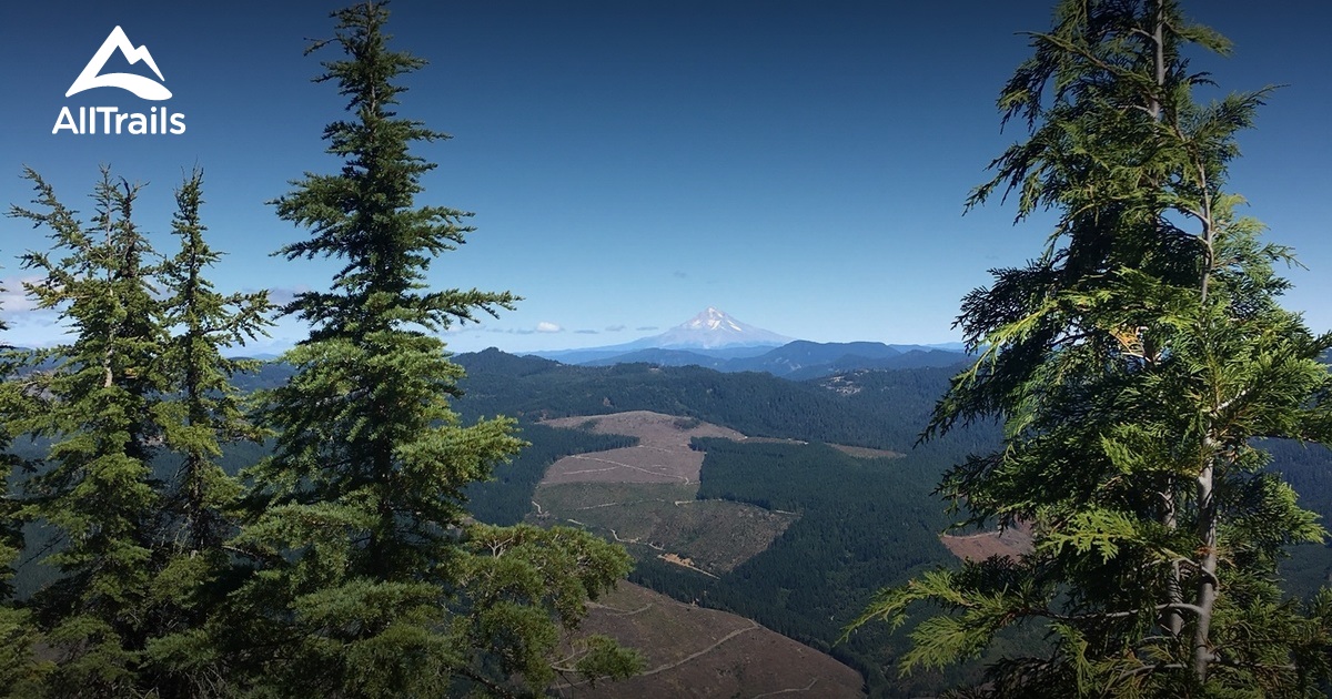 Best Trails near Molalla, Oregon AllTrails