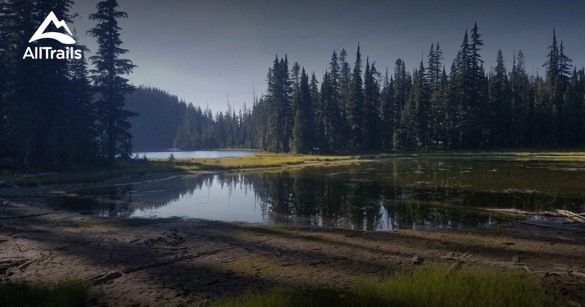 Best Trails near Oakridge, Oregon AllTrails
