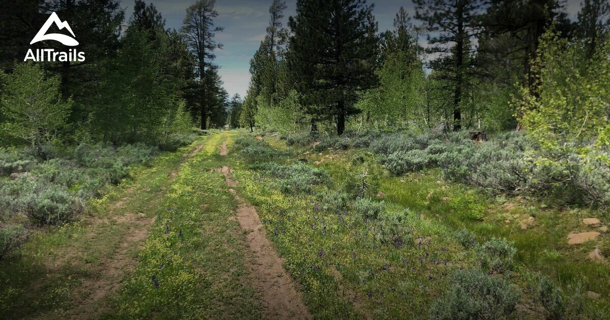 Best Hikes and Trails in Paisley AllTrails