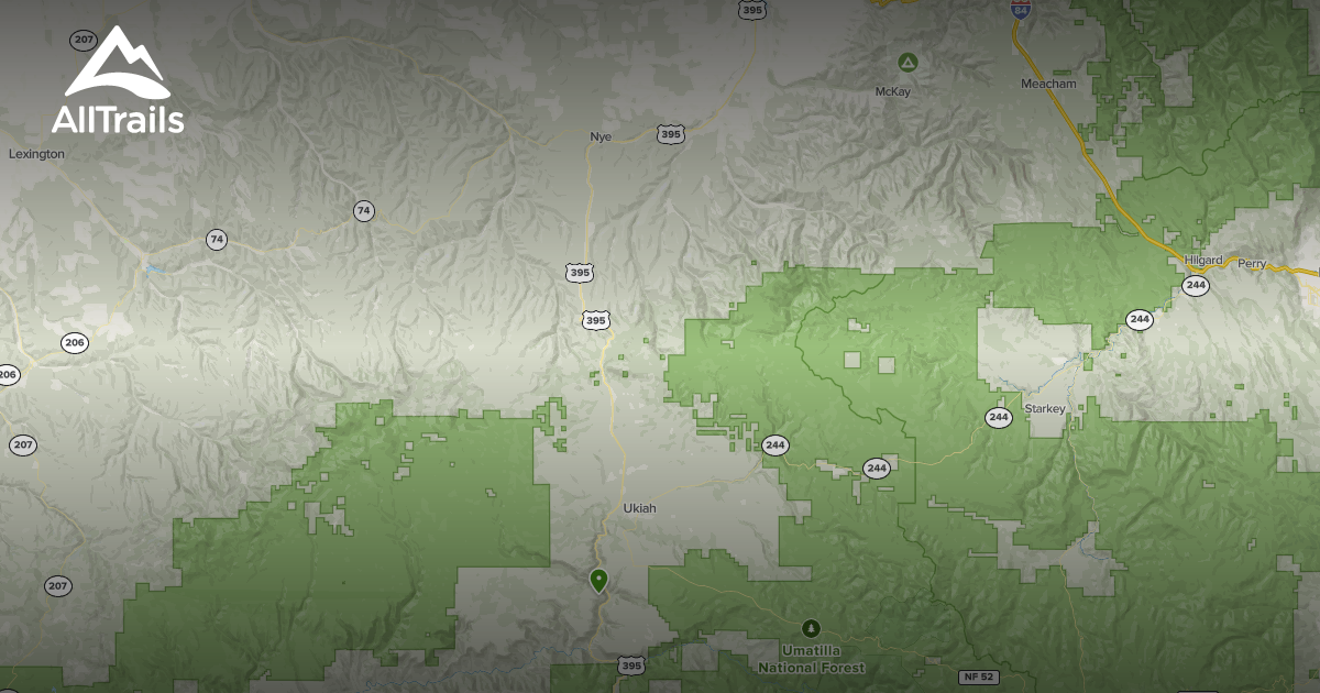 2023 Best Forest Trails in Pilot Rock AllTrails