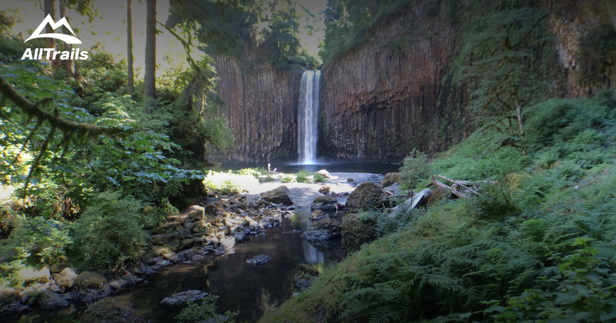 Best Trails near Scotts Mills, Oregon