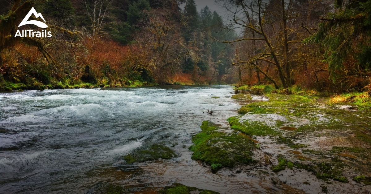 Best Trails near Waldport, Oregon | AllTrails.com