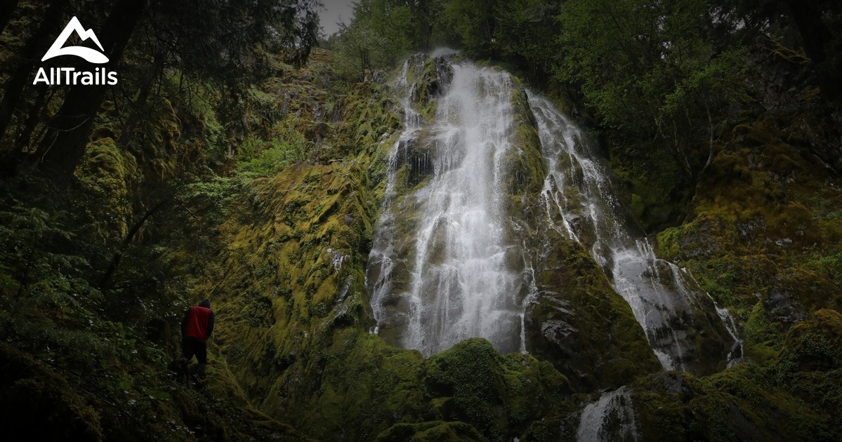 10 Best Trails and Hikes in Westfir AllTrails