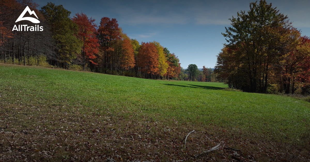 Best Trails near Benezett, Pennsylvania AllTrails