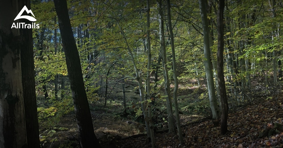 Best Hikes and Trails in Brodheadsville AllTrails