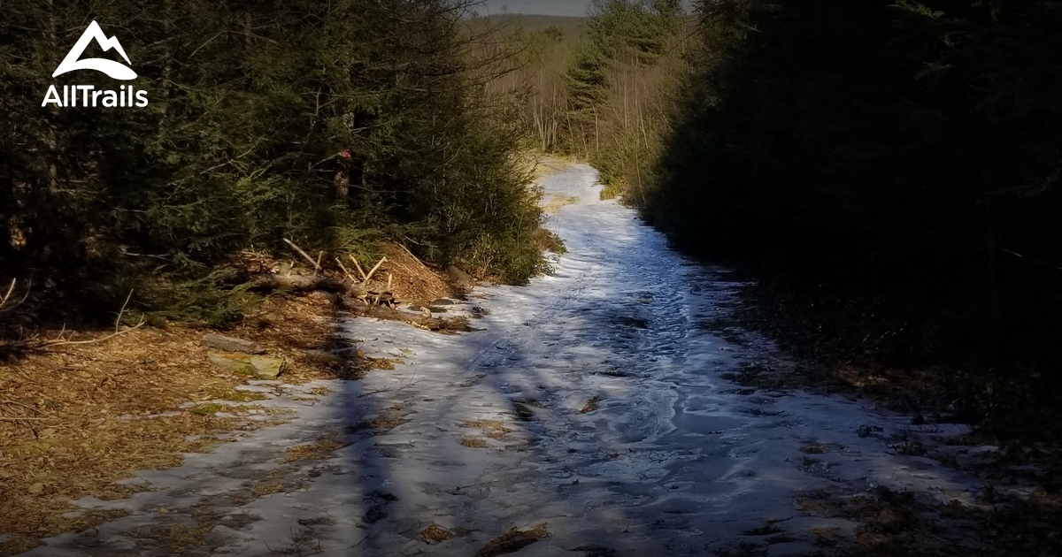 Best Trails near Catawissa, Pennsylvania AllTrails