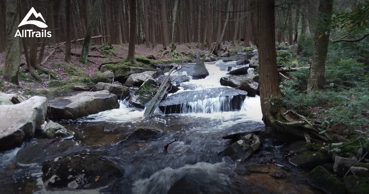 Best Trails near Clearfield, Pennsylvania AllTrails