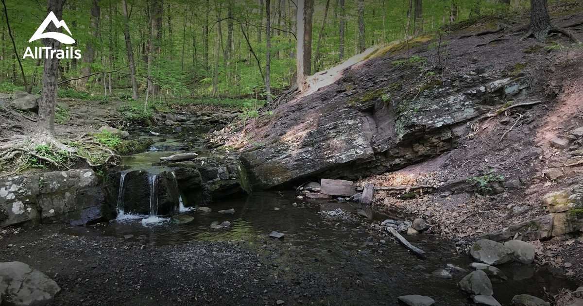 Best Trails Near Douglassville Pennsylvania AllTrails best-trails-near-douglassville-pennsylvania-alltrails