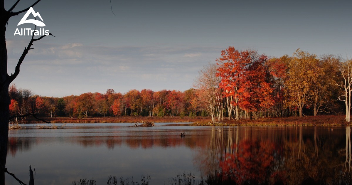 Best Trails near Driftwood, Pennsylvania AllTrails