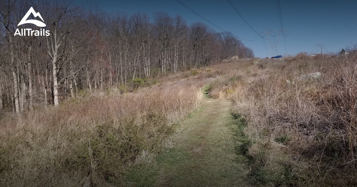 2023 Best Forest Trails in Emigsville AllTrails