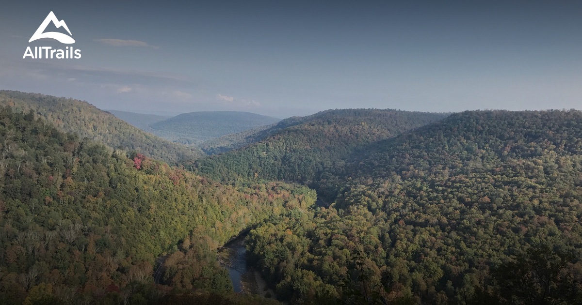 10 Best Trails and Hikes in Forksville AllTrails