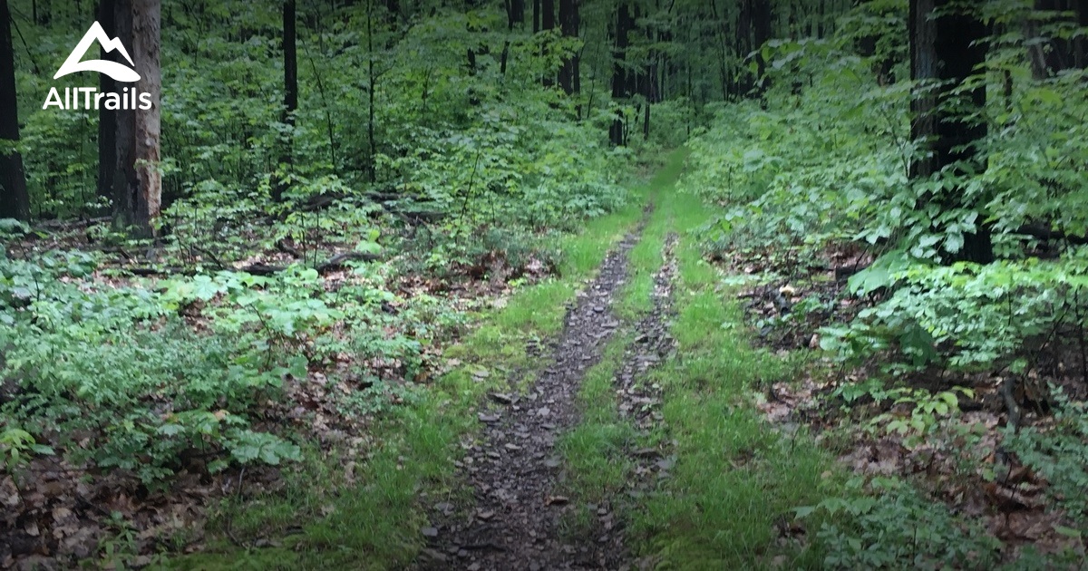 Best hikes and trails in Imler AllTrails