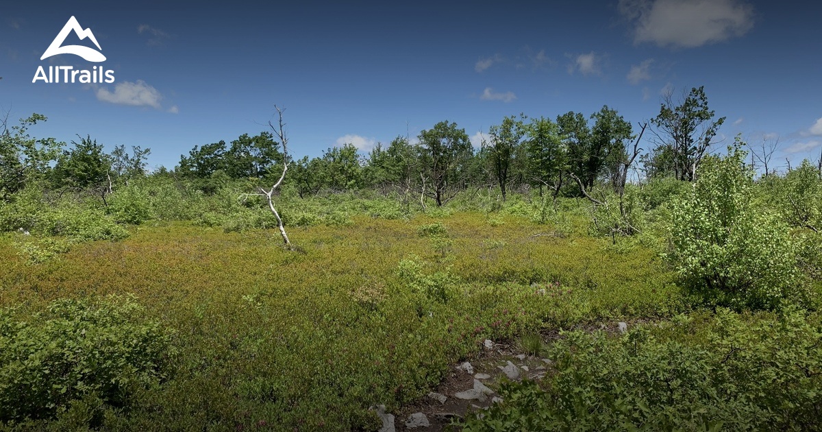 Best Hikes and Trails in Jessup AllTrails