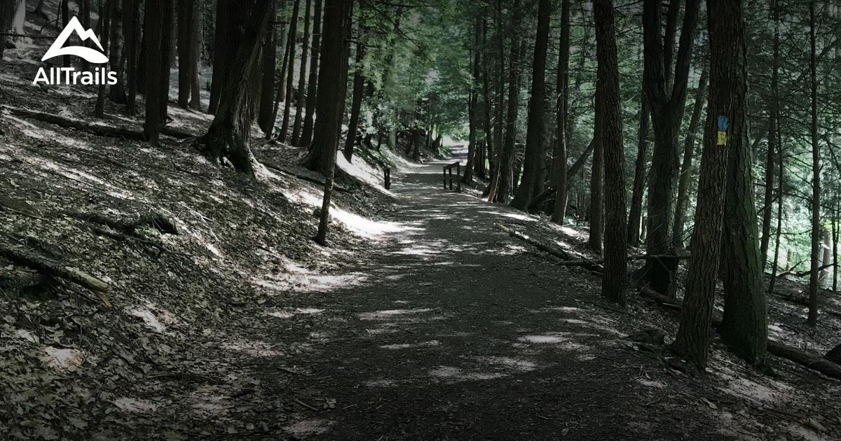 Best Hikes and Trails in Leeper AllTrails