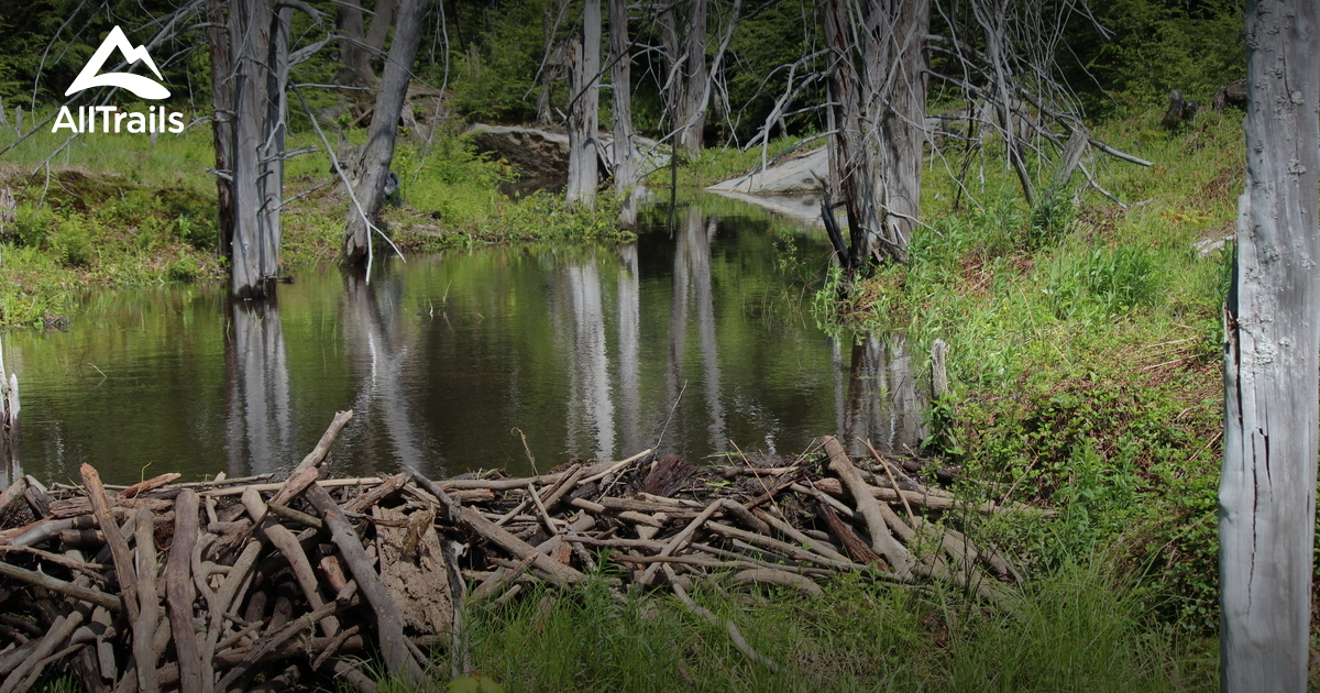 Best Hikes and Trails in Lewis Run AllTrails