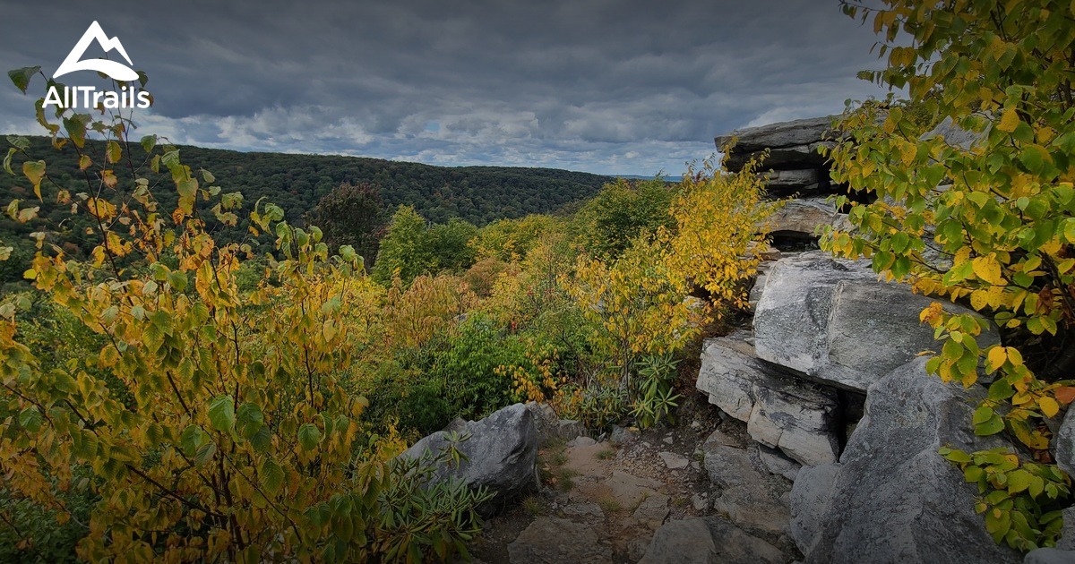 Best Hikes and Trails in Ligonier AllTrails