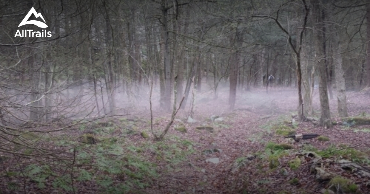 Best Trails near Loganton, Pennsylvania AllTrails