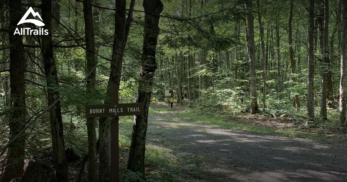 Best Hikes and Trails in Lords Valley AllTrails