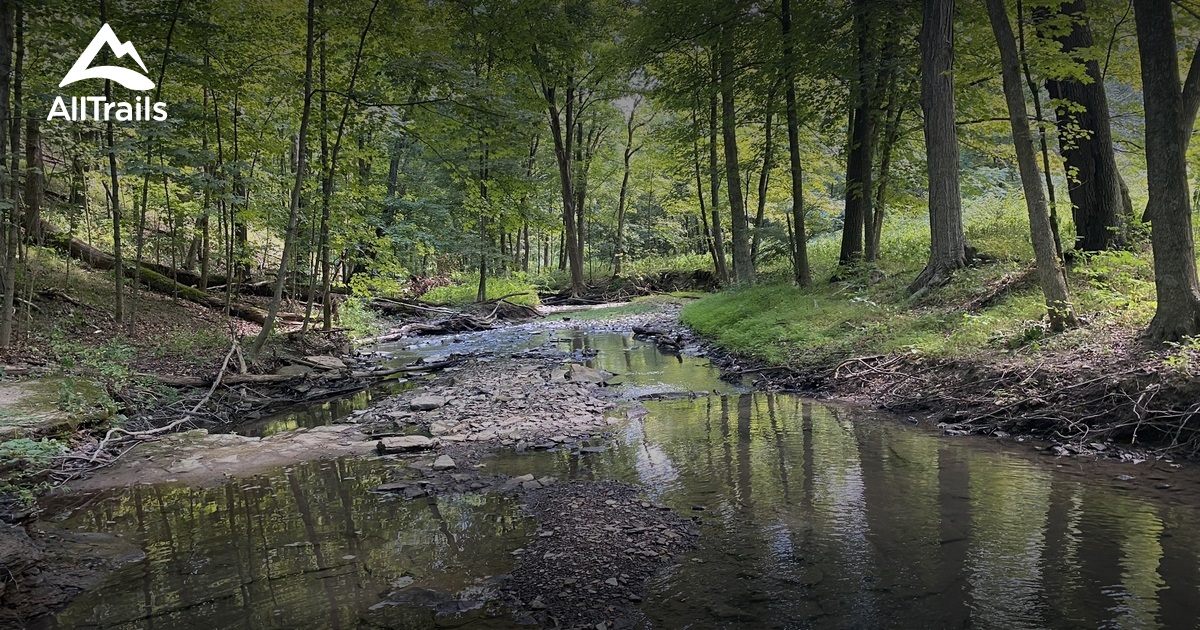 Best Hikes and Trails in Mc Kees Rocks AllTrails