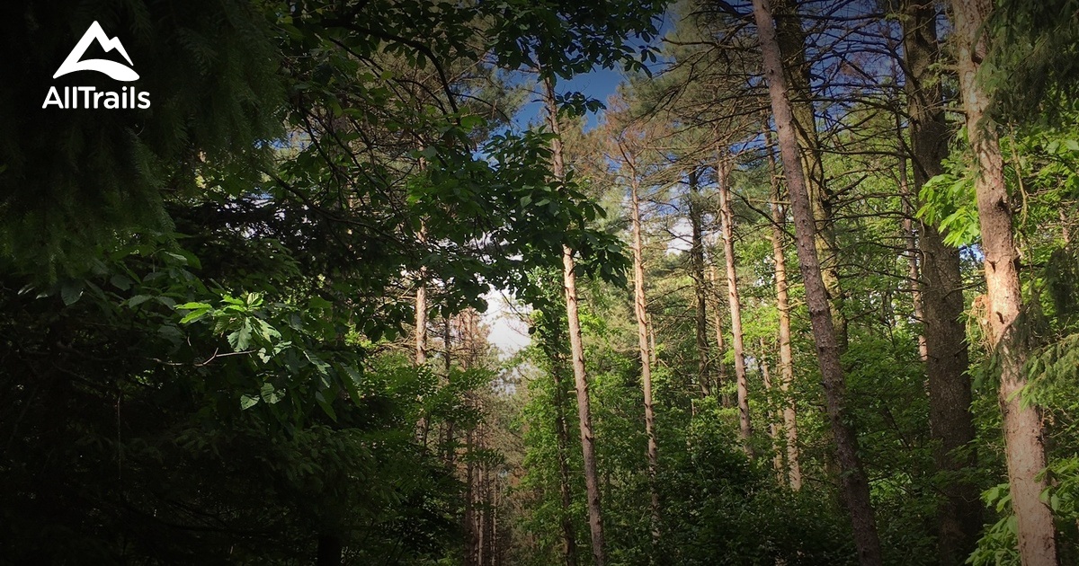 Best Trails near Mohnton, Pennsylvania AllTrails