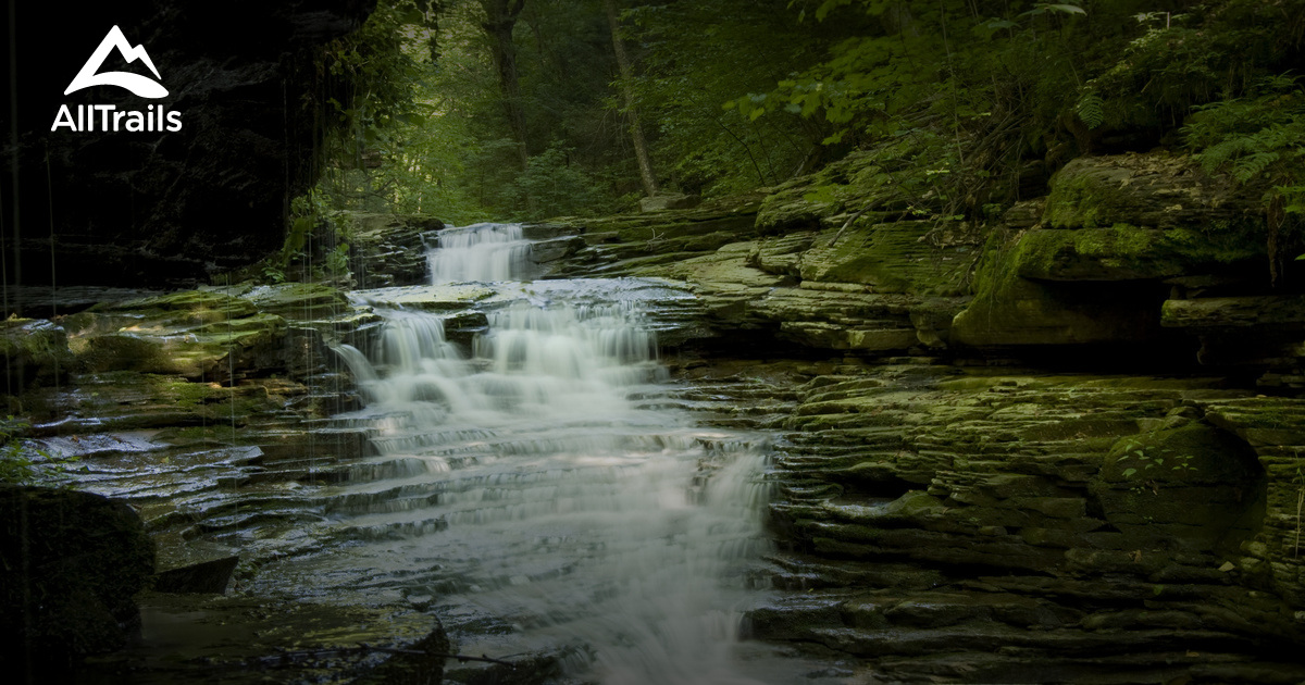 Best Trails near Muncy Valley, Pennsylvania AllTrails