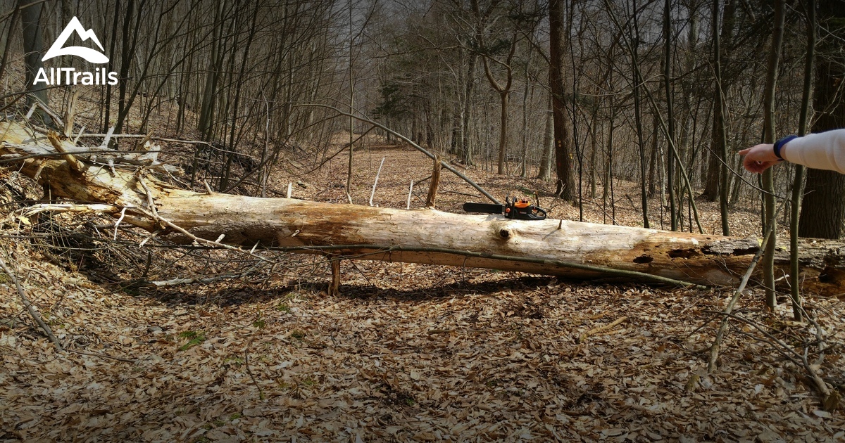 Best Hikes and Trails in Muncy Valley AllTrails
