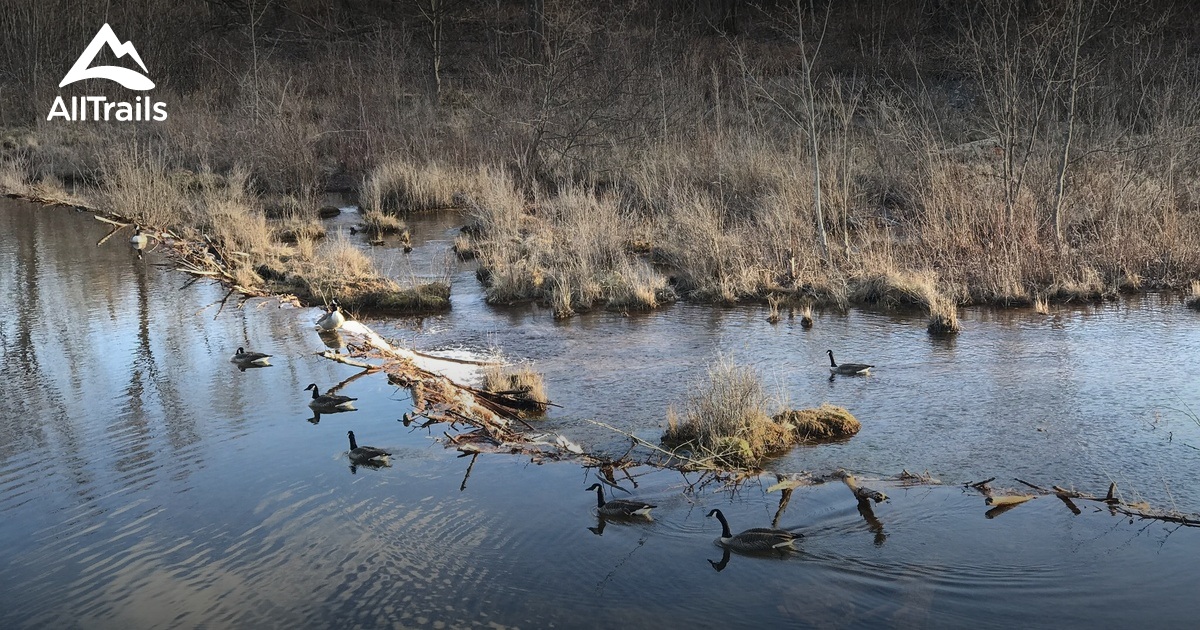 Best Hikes and Trails in Peckville AllTrails