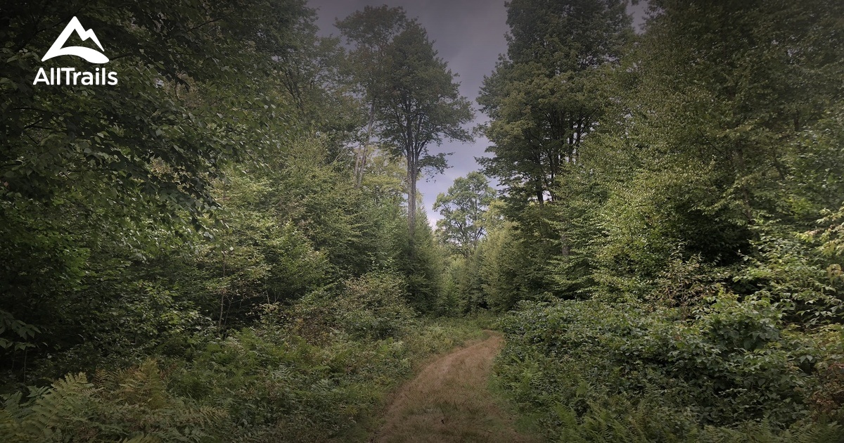 Best Hikes and Trails in Pocono Pines AllTrails