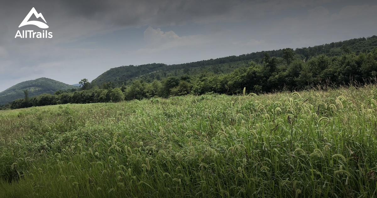 Best Hikes and Trails in Ravine AllTrails