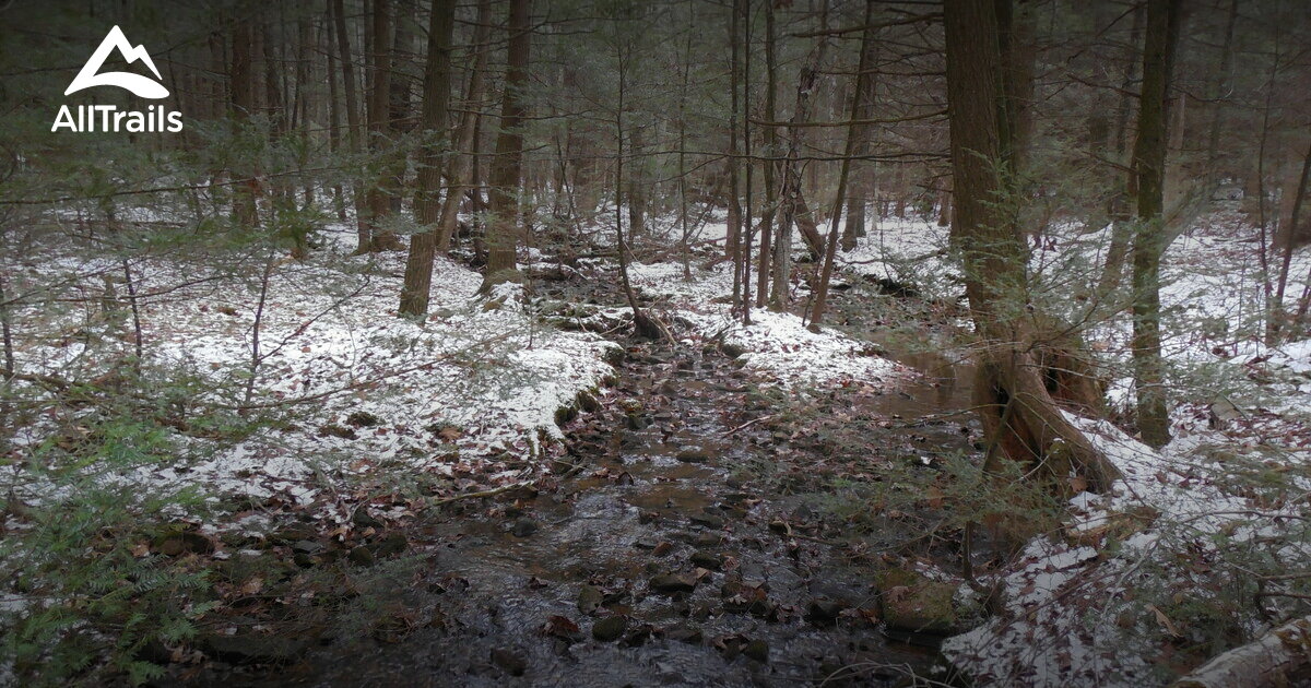 Best Hikes and Trails in Rebersburg AllTrails