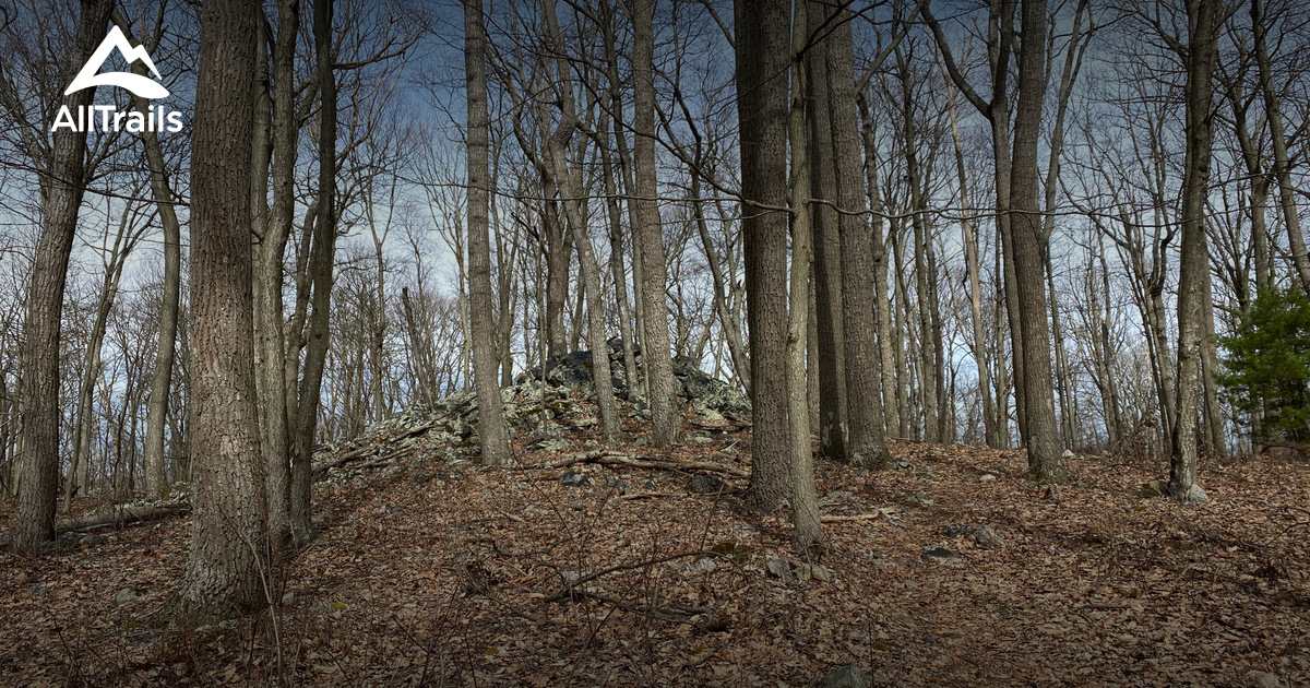 2023 Best Forest Trails in Rouzerville AllTrails