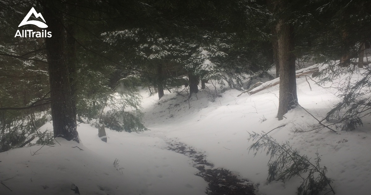 2023 Best Wild Flowers Trails in Shippenville AllTrails