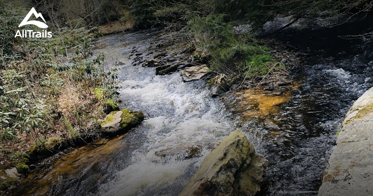 Best Hikes and Trails in Snow Shoe AllTrails