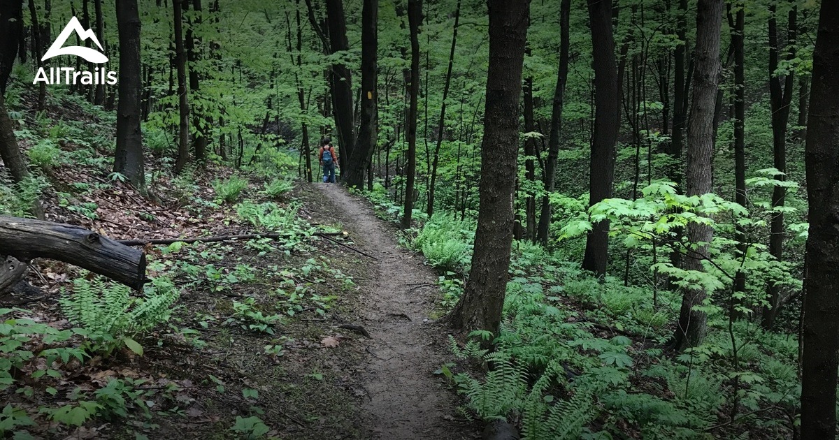 Best Hikes and Trails in Springdale AllTrails