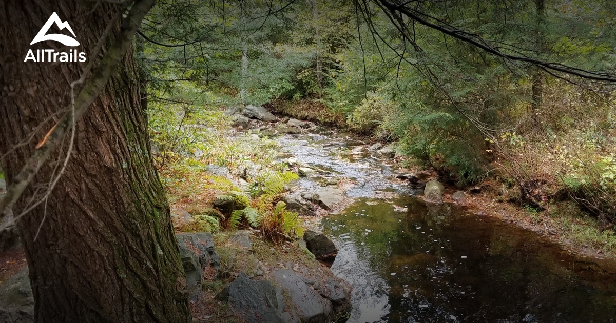 Best Hikes and Trails in Thornhurst AllTrails