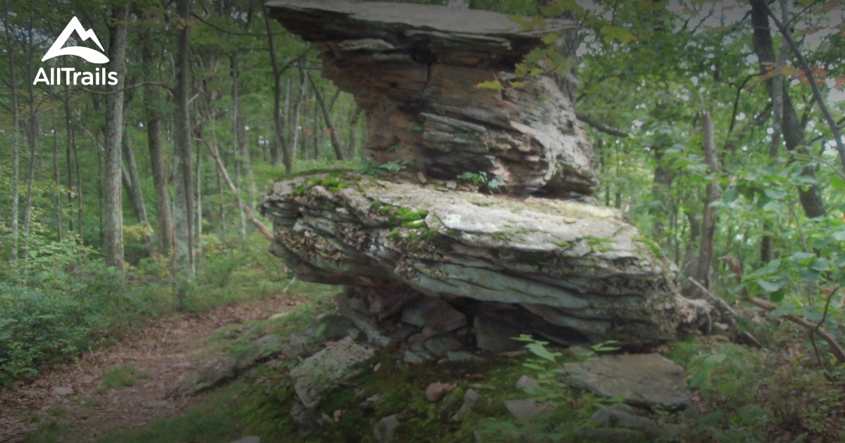 Best Trails near Waterville, Pennsylvania AllTrails