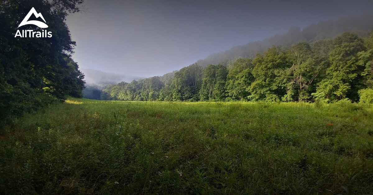 2023 Best Wildlife Trails in West Finley AllTrails