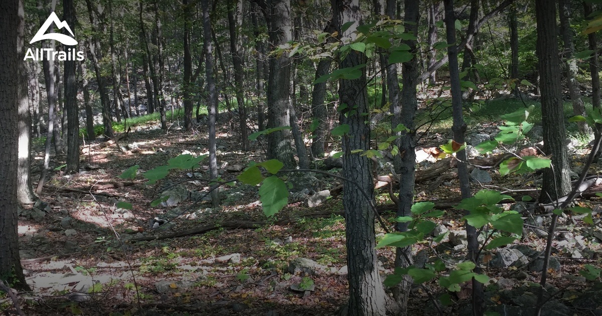 Best Trails near Wind Gap, Pennsylvania