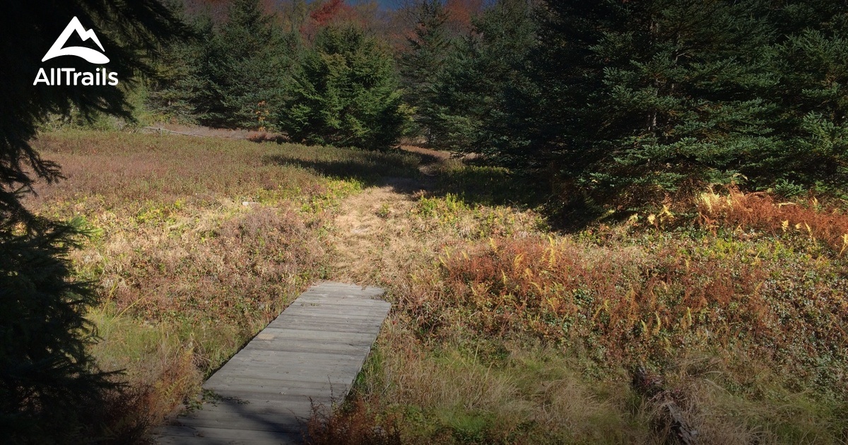 Best Hikes and Trails in Windber AllTrails