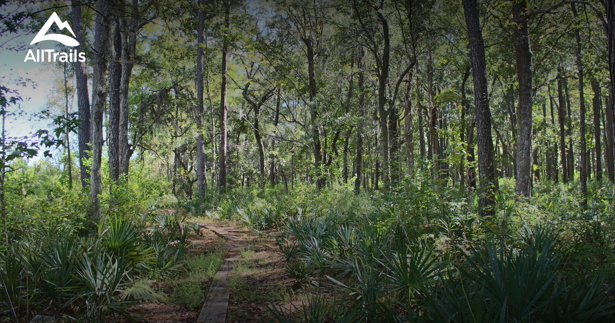 Best Trails near Goose Creek, South Carolina | AllTrails