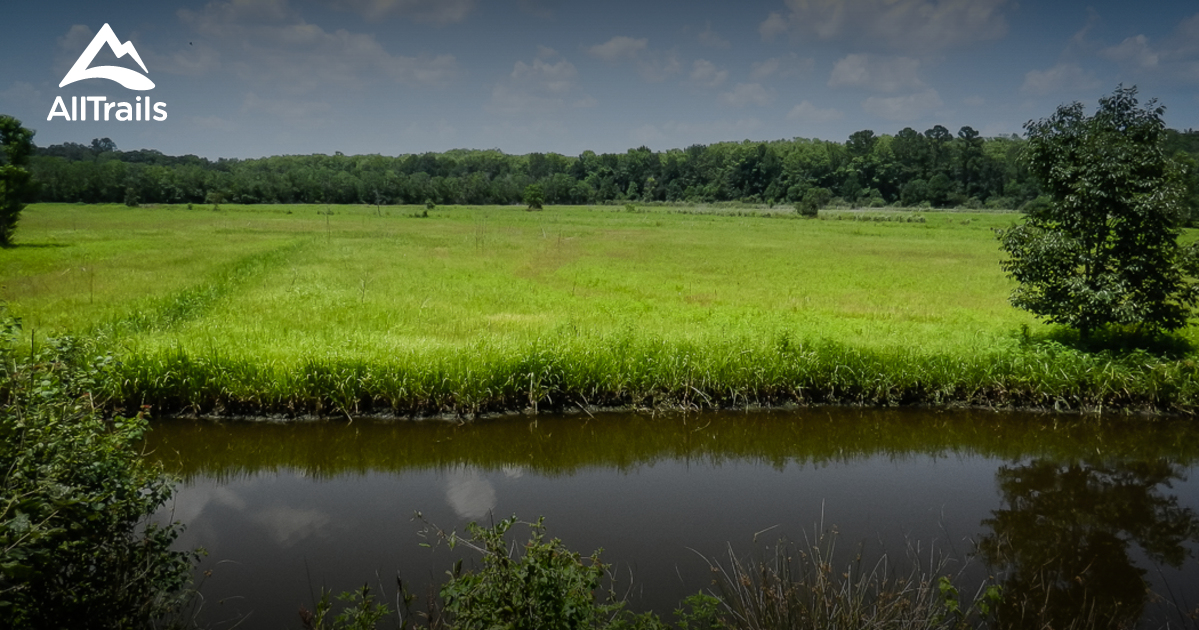 Best Trails near Green Pond, South Carolina AllTrails