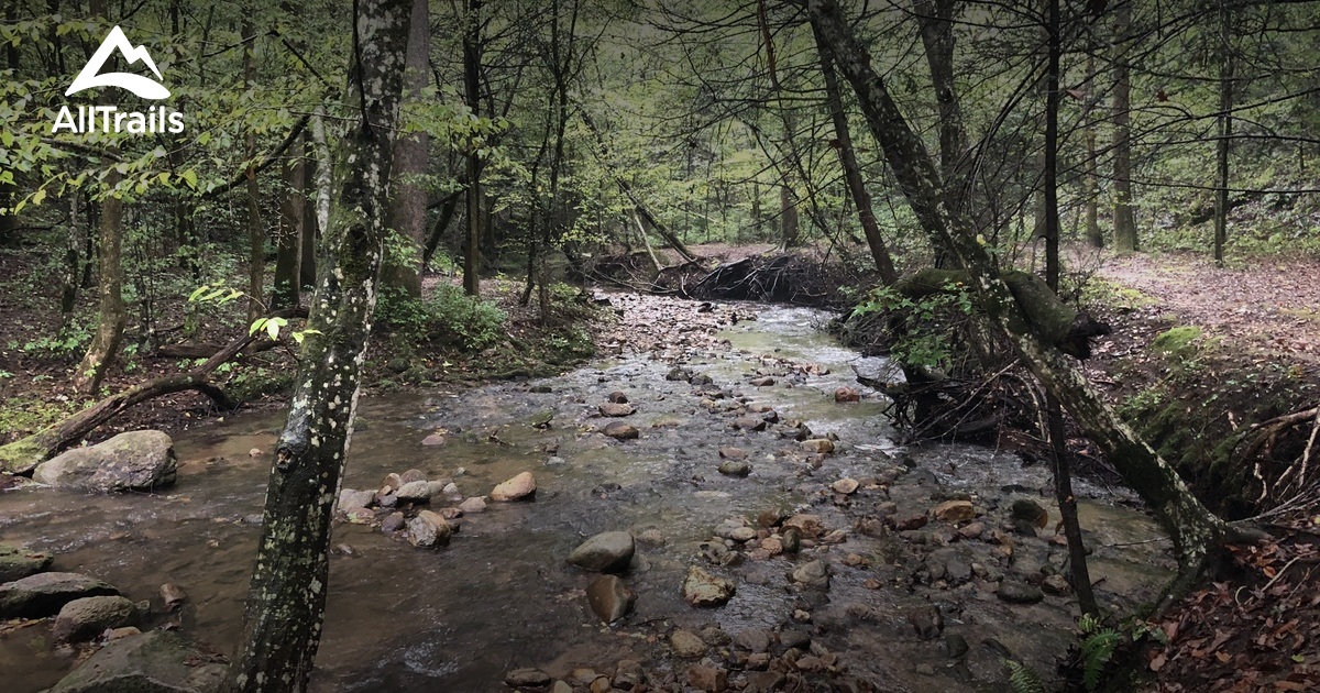 Best Hikes and Trails in Landrum AllTrails