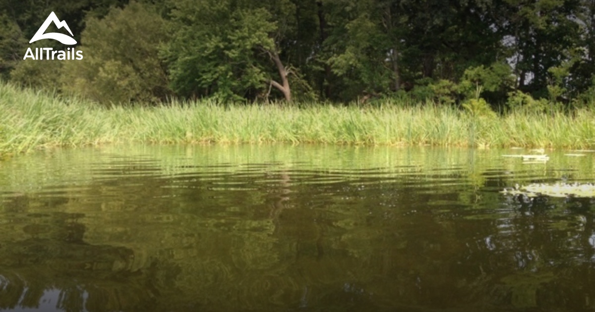 Best Trails near Pinopolis, South Carolina AllTrails