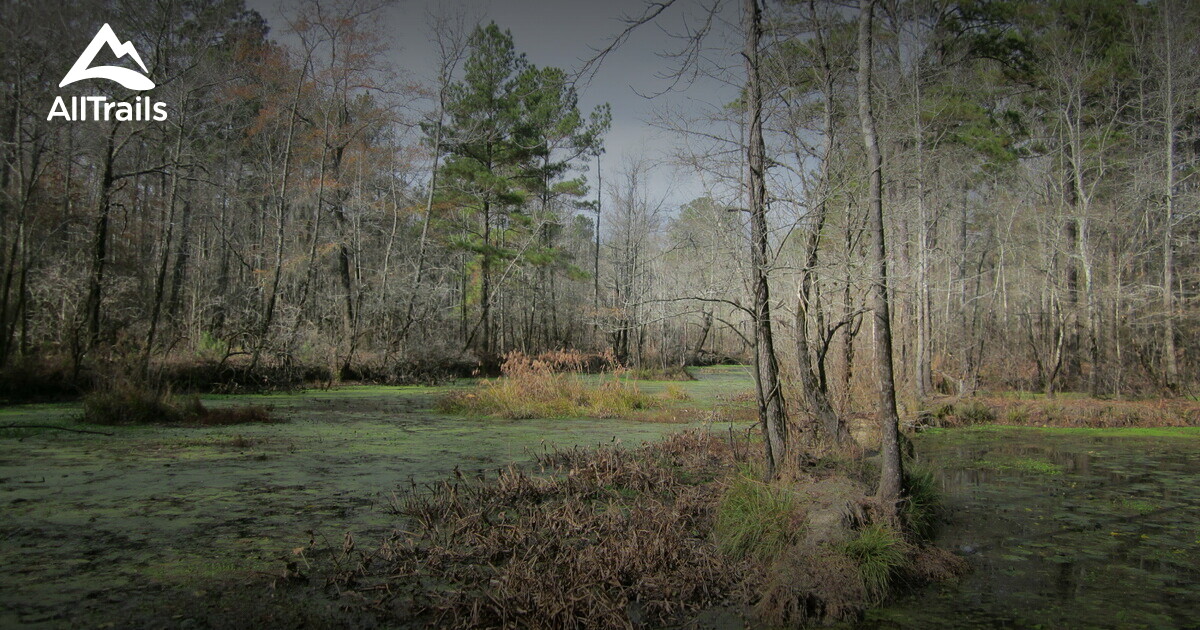 Best Hikes and Trails in West Columbia AllTrails