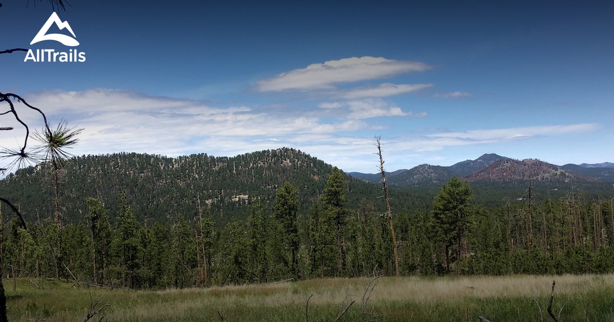 Best Trails near Hill City, South Dakota AllTrails