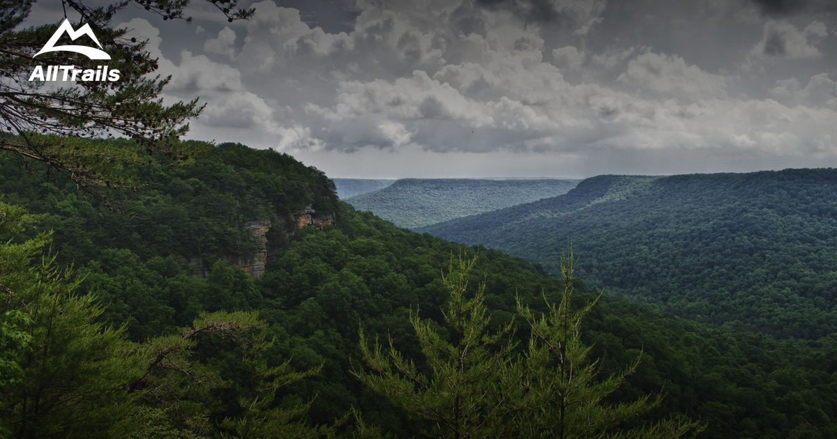 Best Trails near Beersheba Springs, Tennessee