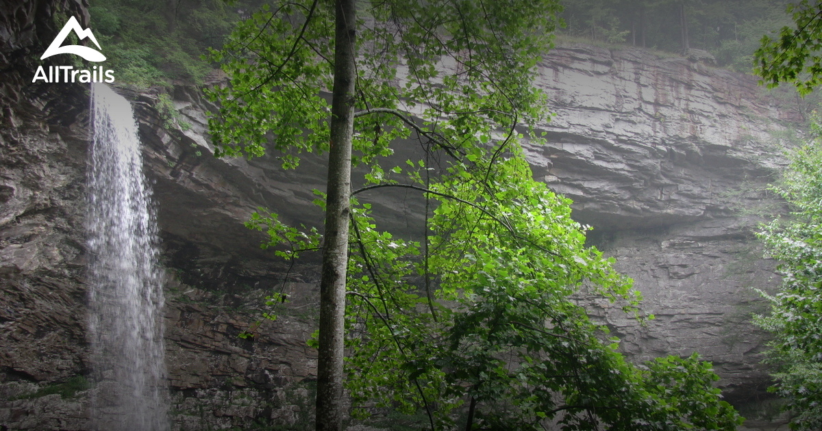 Best Trails near Crab Orchard, Tennessee AllTrails