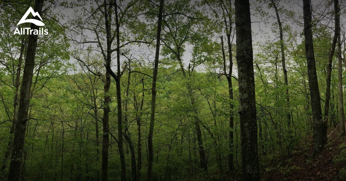 Best Trails near Joelton, Tennessee