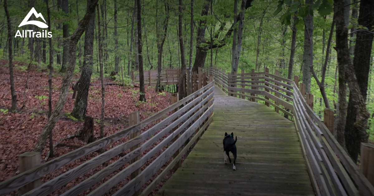 Best Hikes and Trails in Joelton AllTrails