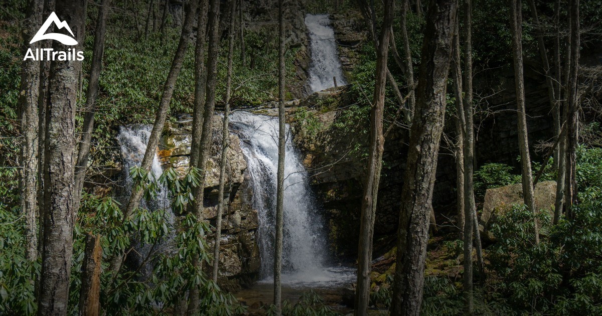 Best bird watching trails in Laurel Bloomery | AllTrails